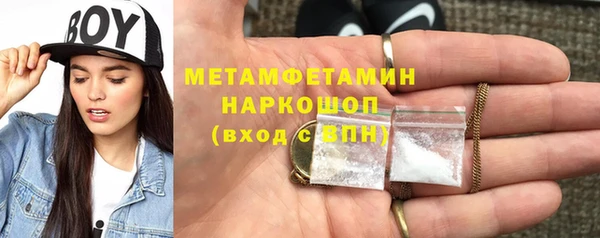 прущие грибы Сафоново