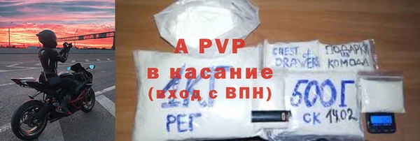прущие грибы Сафоново
