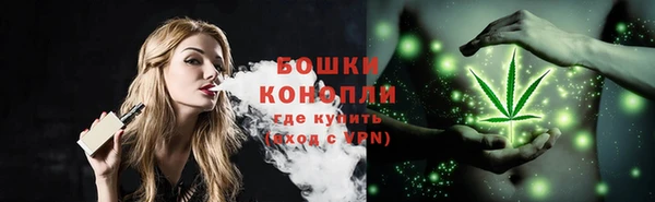 прущие грибы Сафоново