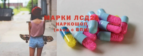 ГАЛЛЮЦИНОГЕННЫЕ ГРИБЫ Сатка
