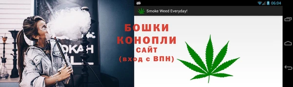 ГАЛЛЮЦИНОГЕННЫЕ ГРИБЫ Сатка