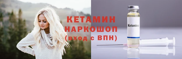 прущие грибы Сафоново