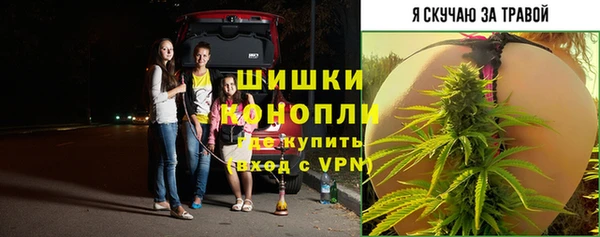 ГАЛЛЮЦИНОГЕННЫЕ ГРИБЫ Сатка